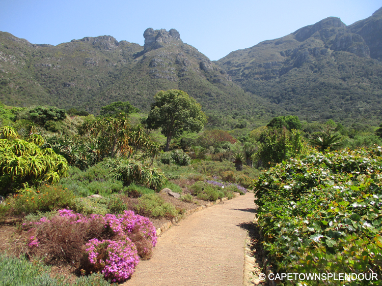 One of Many Kistenbosh Pathways