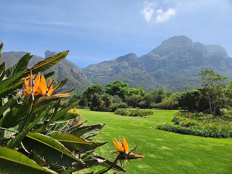 Kirstenbosch Botanical Gardens